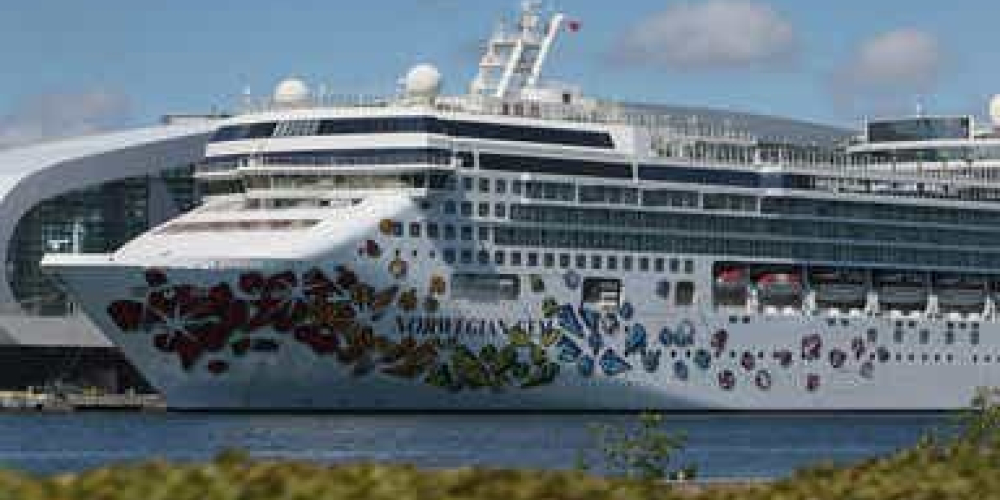 Leavitt rips NYT reporter over question about Trump’s phone call with Putin #shorts #usa #us #trump