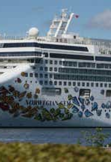 Leavitt rips NYT reporter over question about Trump’s phone call with Putin #shorts #usa #us #trump